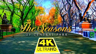 Lg Nanocell Tv 2021 - Central Park In 4K