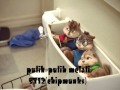 putih-putih melati-ST12(chipmunks) putih-putih melati-ST12(chipmunks)