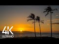 8 HOURS of Relaxing Ocean Waves Sounds with Tropical Beach Sunset Scene - UHD 2160p