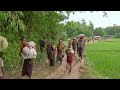 Several groups support claims of systematic rape of Rohingyas by Myanmar army