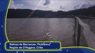 Ntv - Cierre E Inicio De Transmisiones 06-07092025