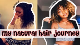 MY NATURAL HAIR JOURNEY W/PICTURES • BIG CHOP & RECOVERING FROM HEAT DAMAGE AND BLEACH • CALL ME KAM