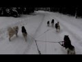 I taka to historia :) start po odpoczynku - Tiamo szczeka.MP4