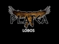 Lobos Video preview