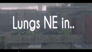 Lungs Ne 2Ce By Entai