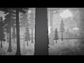 What's hidden among the tallest trees on Earth? - Wendell Oshiro