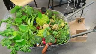 Veggie Monster