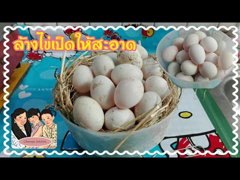 ล้างไข่เป็ดให้สะอาด วิธีทำความสะอาดไข่เป็ดไล่ทุ่งก่อนนำไปแช่ตู้เย็น