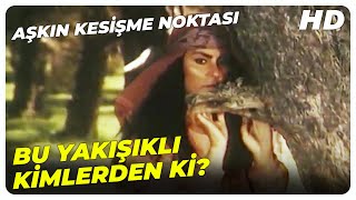 Aşkın Kesişme Noktası Hürmet, Ormandaki Adamı Kesiyor Türk Filmi
