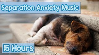 15 HOURS of Deep Separation Anxiety Music for Dog Relaxation! Helped 4 Million D