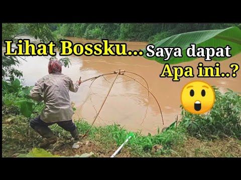 Traditional Fishing ~ Berkah Musim Hujan Pasang Perangkap Ikan Tangkul.