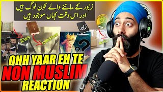 Indian Reaction On What And Where Are The Followers Of Psalms Zabur ?