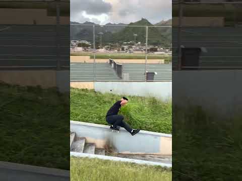 The Best Boardslide Curb Ever #shorts