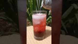 Berry Punch Tail