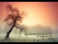 Mr.Sam Ali - Gone Away