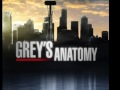 grey's anatomy music-into the fire
