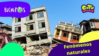 Fenómenos naturales - Bichitos Invisibles T2