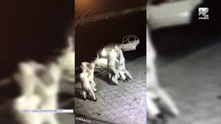 Видео В Черкесске потасовка переросла в перестрелку от Архыз 24, улица Ворошилова, Черкесск, Россия