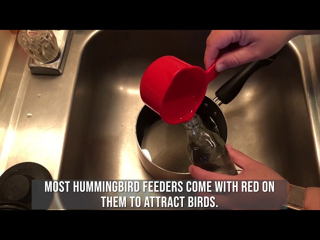 Watch HOW-TO: Hummingbird Feeder on YouTube.