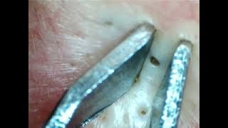 Кто красит брови самостоятельно Кто красит брови самостоятельно