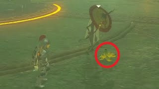 Monk Maz Koshia Likes Bananas? Botw Easter Egg