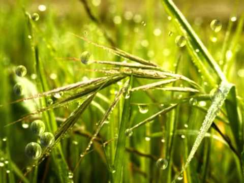 VIDEO MUSICAL SOL Y LLUVIA video musical sol y lluvia: