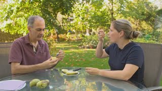 Lépicerie Le Pawpaw, Un Fruit Dici