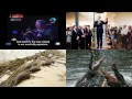 Cruel Lord Mursi - Obama Messiah Revealed - 16000 Dead Rats Mississippi - Crocodiles Eat Thai - CA