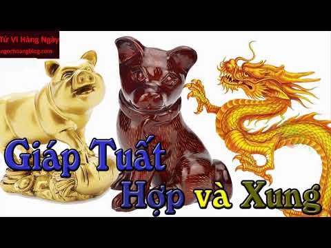 Nam sinh năm 1994 hợp với tuổi nào, giáp tuất hợp tuổi nào | Tử Vi Hàng Ngày