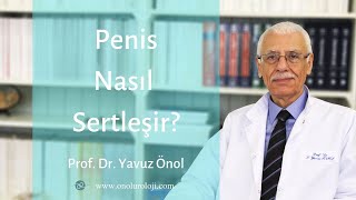 Penis Nasıl Sertleşir? - Prof. Dr. Yavuz Önol