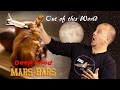 Out of this World Deep Fried Mars Bars
