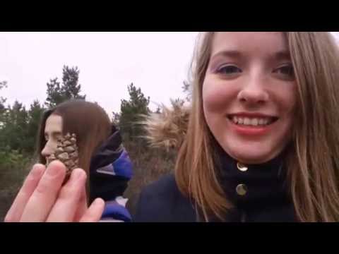 Коростышев 2016))