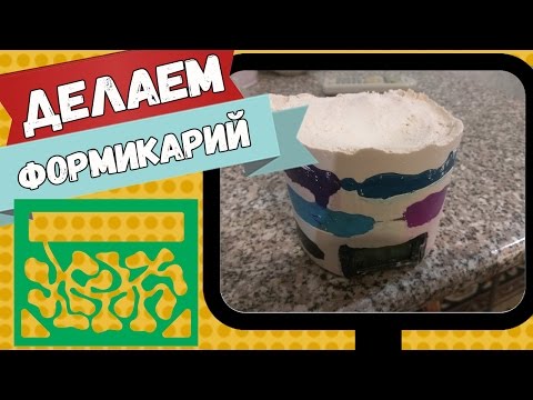Как сделать формикарий в домашних условиях Как сделать формикарий в домашних условиях