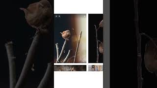 Bedava Telifsiz Müzik Bulabileceğiniz 3 Web Sitesi