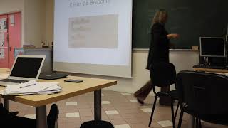 Linguística História Da Língua Portuguesa Professora Maria Celia Aula 2