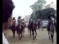 سعوديات سعودي متبرجات في الهرم.flv