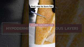 Best Way To Burn Fat