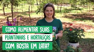 Como Alimentar suas Plantinhas e Hortaliças com Bosta em Lata