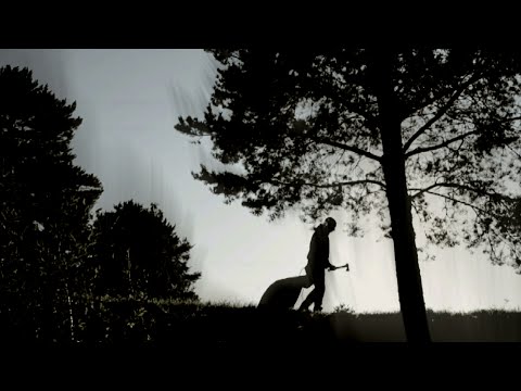 The Nails Video