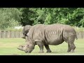 Zoo Denmark
