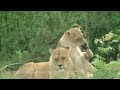Zoo Denmark