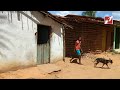 Evangelismo e doação de alimentos