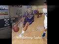 will taylor mix