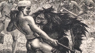 Bill Bailey on Alfred Russel Wallace | Natural History Museum