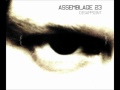 Assemblage 23 - Disappoint (ITN Affinity Remix by In the Nursery) (lyrics)