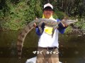 カズラの世界を釣る アマゾン・ネグロ川水系ピーコックバス釣行