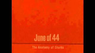 Watch June Of 44 Sharks  Sailors video