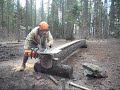 alaskan sawmill 20 in bar on ms660