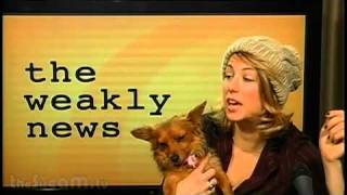 The Weakly News - #218 Haitian Relief Sweetened by Ice Cream