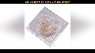 Deal 1000W Dental Equipment Laboratory Dental Vacuum Former Forming And Molding Machine Lting